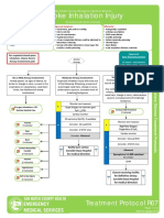 Smoke Inhalation Injury: Treatment Protocol R07