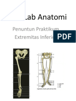 Skill Lab Anatomi Extremitas Inferior