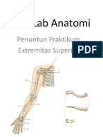 Anatomy Skill Lab Guide Upper Extremities