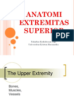 3 Extremitas Superior PDF