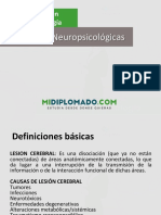 Patologías neuropsicológicas: lesiones, enfermedades y métodos de investigación