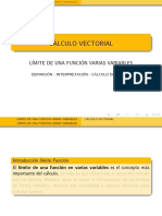 LímitesFVV PDF