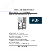 ControlDeProcesosV10 PDF
