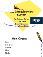 The Integumentary System