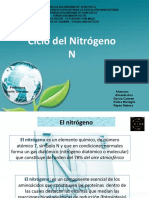 Ciclo Del Nitrogeno