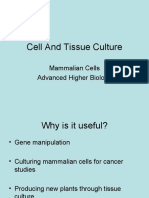 Cell Culture Techniques for Cancer Studies and Gene Manipulation