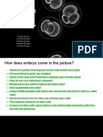 Applied Ethics Embryo - Compressed