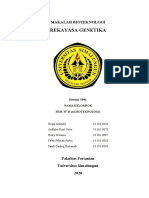 Makalah Bioteknologi, Rekayasa Genetika