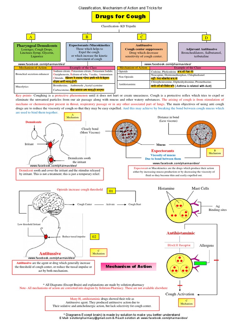 Antitussive Drugs and Mechanisms | PDF | Cough | Drugs