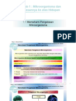 Mikroorganisma dan Kesannya