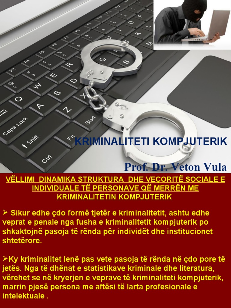 Prof. Dr. Veton Vula: Kriminaliteti Kompjuterik | PDF