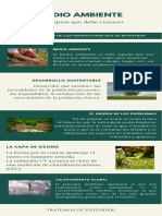 Infografia Enviroment