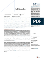 Flashing Leds For Microalgal Production: Review