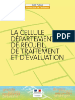cellule départementale protection.pdf
