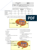 Desarrollo Taller de Biologia