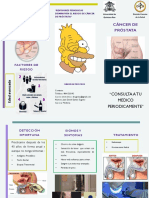 Triptico Cancer de Prostata