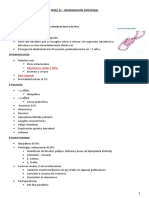 Tema 21 - Invaginación Intestinal