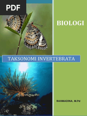 Modul Ajar Taksonomi Invertebrata Pdf