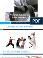 Primeros Auxilios en Artes Marciales