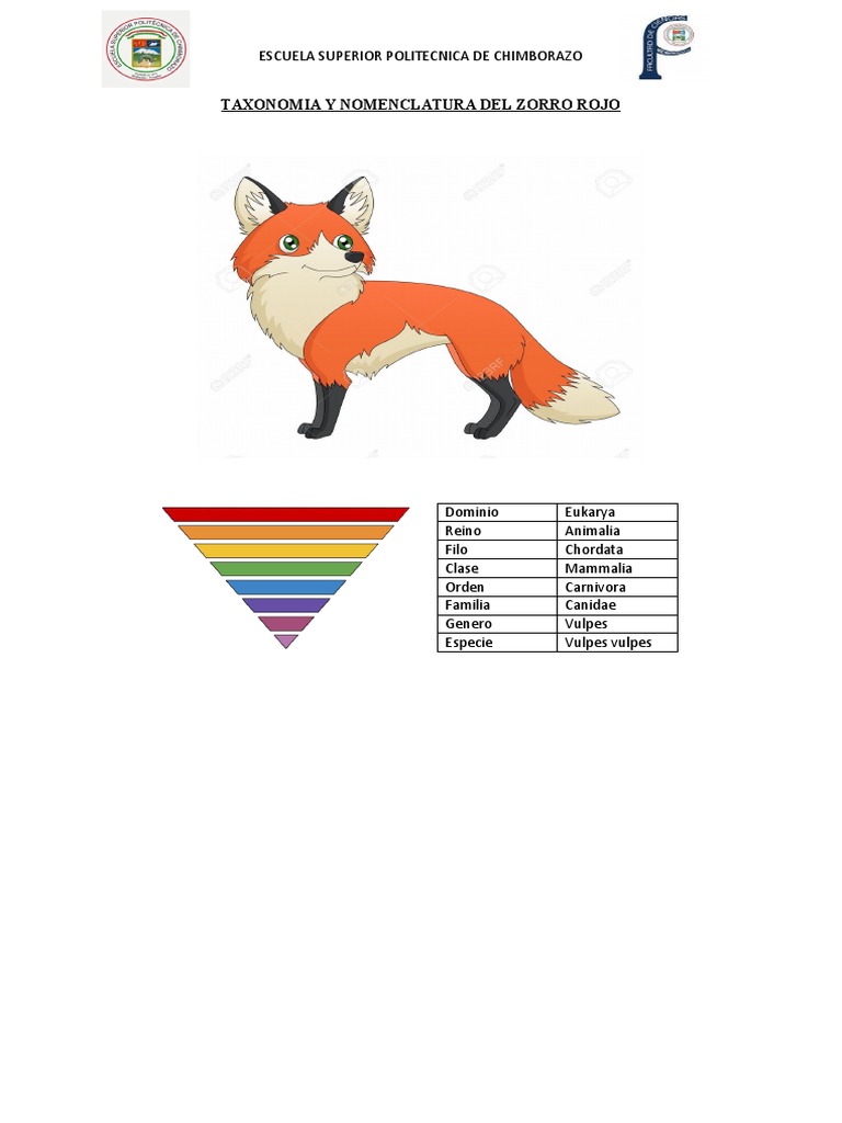 Example Of Animal Classification Infographic Diagram, 56% OFF