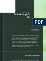 Schrödinger's Cat: Made Gorban Maxim
