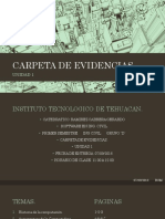 Carpeta de Evidencias Software