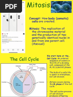 Mitosis Lecture PDF