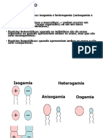 Chytridiomycota 2015.1 PDF