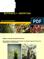 Aula Adaptações das plantas ao ambiente terrestre e briófitas