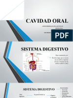 Cavidad Oral Histologia Mejoras