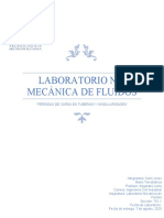 Laboratorio N°4, Fluidos, Mario Torreblanca, Karin Jerez, Sección 761.1
