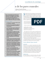 pares-craneanos kul.pdf