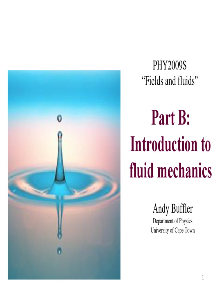 PHY2009S Buffler Fluid Dynamics (Leer) PDF | PDF
