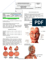 Guía 2-CN-701,702-Sistema muscular-Yery-Período 3