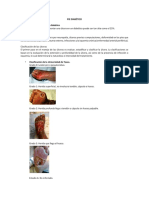 PIE DIABÉTICO.pdf