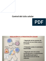 Control de La Mitosis-Apoptosis