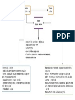 Mapa CASO.pdf