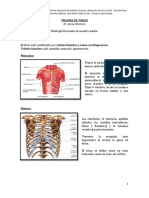 TraumaToraxAnatomíaRadiografía