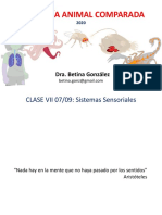 Clase 7, Lu 07-09, Introduccion Sensoriales PDF