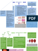 Mapas Fisiología - 5600089