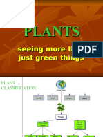 3.5 Plants