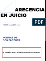 Patrocinio y Mandato - TEÓRICO PDF