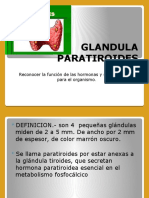 Glandula Paratiroides