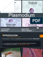 Plasmodium Seminario