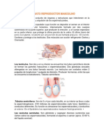 Aparato Reproductores Masculino y Femenino PDF