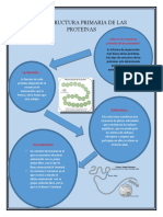 Pictograma de La Estructura Primaria de Las Proteinas