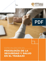 Programa Especialización PSISST FINAL.pdf