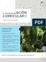 Priorizacion PV PDF
