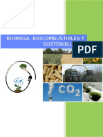 B. Biomasa, Biocombustibles y Sostenibilidad.pdf