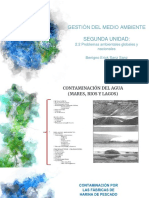 2 - 2 Problemas Ambientales Globales y Nacionales PDF